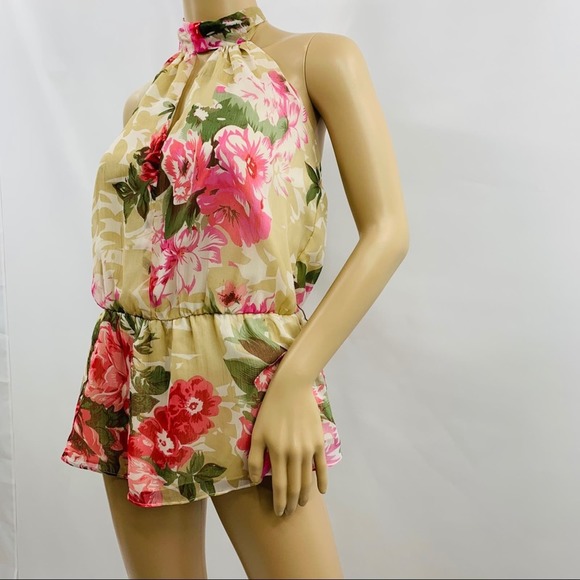 Walter Baker Cream Pink Floral Halter Top - Picture 5 of 12